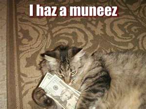 cat_money_11.jpg