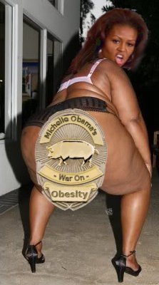 michelle-obamas-war-on-obesity.jpg