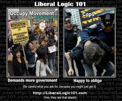 LiberalLogic101_OWS.jpg