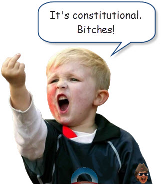 its-constitutional-bitches.jpg