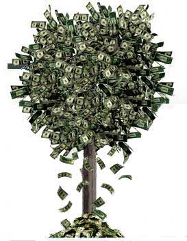 Money_Tree.jpg