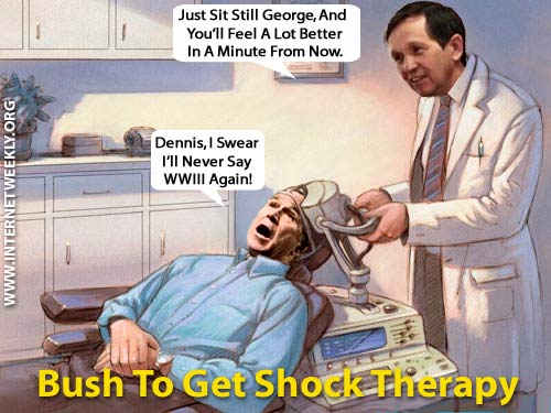 bush_shock_therapy.jpg