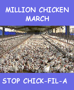 Chicken-farm.jpg
