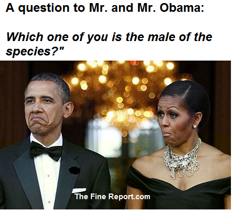 QUestion to Mr and Mr Obama.png