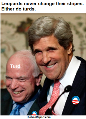 McCain and Kerry turd cube.png