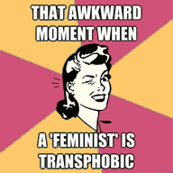 Feminist_Transphobic.png