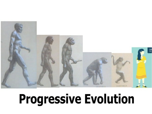 evolution7.jpg