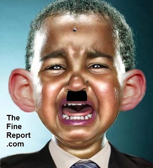 obama cry baby with moustache and fly for cube.jpg