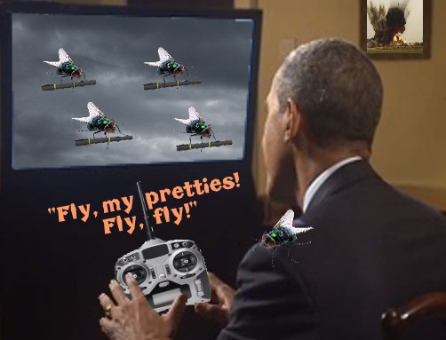 drone flies.jpg