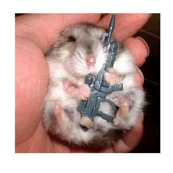 a tactical right to carry mouse.jpg