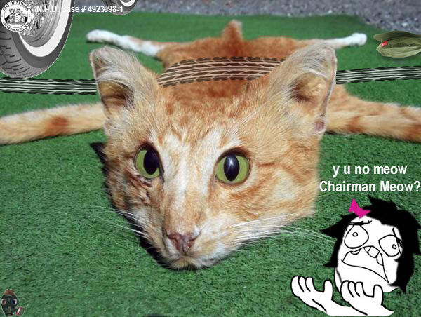 chairman-meow-no-meow1.jpg