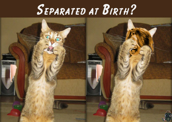 separated-at-birth.jpg