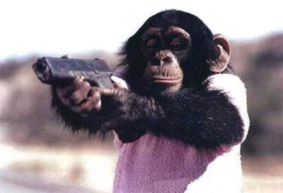 monkey-gun-thumb-400x272-12159.jpg