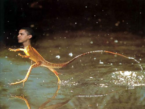 obama-lizard 2.jpg