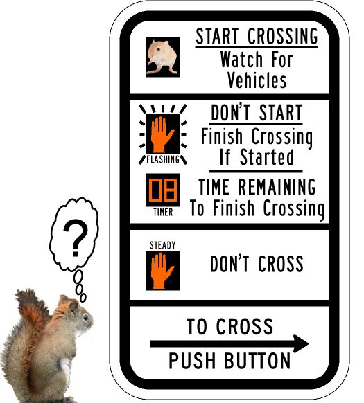 Squirrel crosswalk.jpg