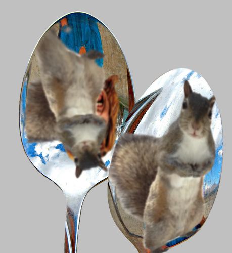 Spoons 2.jpg