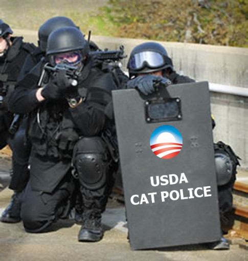 swat-police-cat.jpg