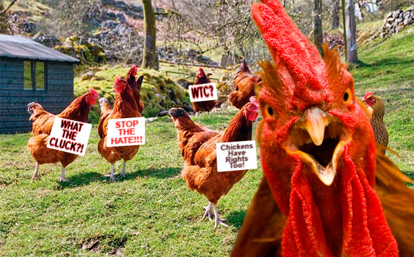 ChickenProtest.jpg
