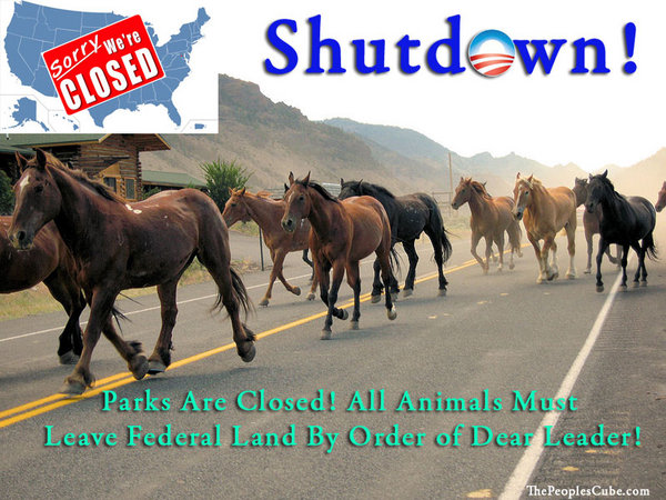 shutdown.jpg