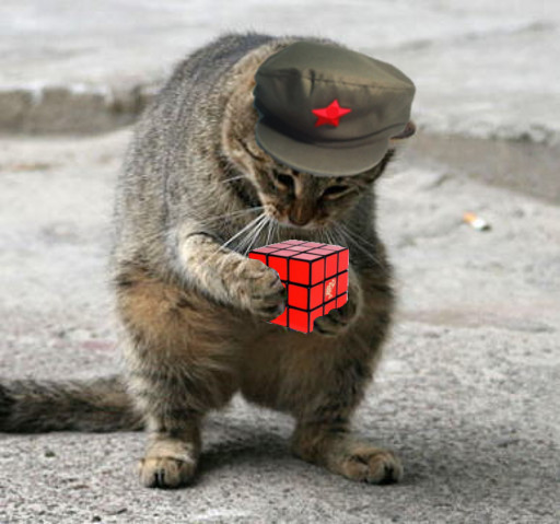 cat_with_peoples_cube.jpg
