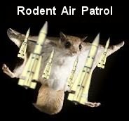 armed flying squirrel.jpg