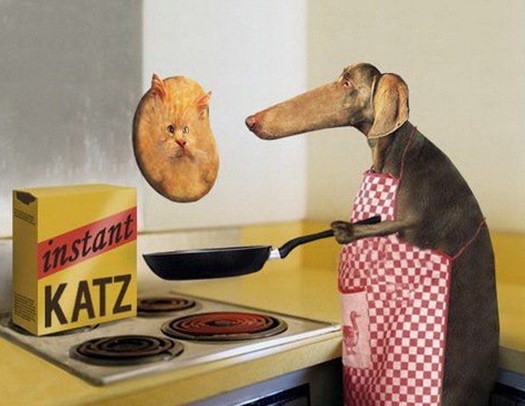 dog-chef-coocing.jpg