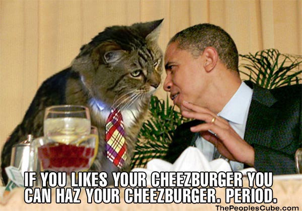 Cat_LOL_Cheezburger_Obama.jpg