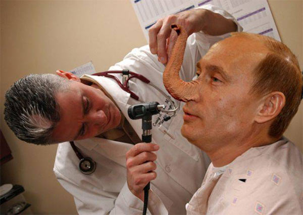 Putin_Elephant_Nose.jpg