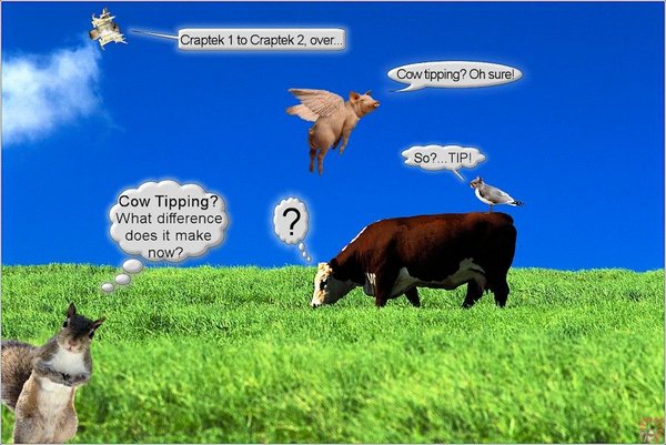Cow-Tipping jpg.jpg