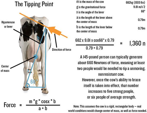Cow_Tipping.jpg