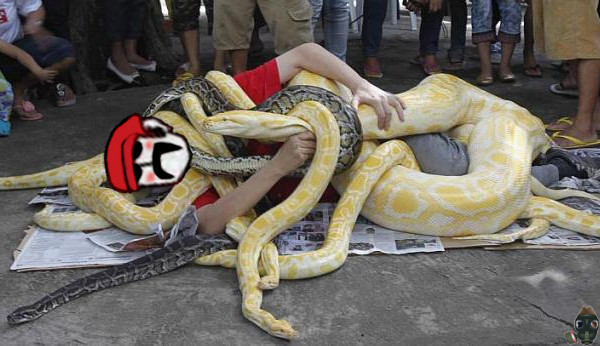 the-peoples-comrade-loves-snakes.jpg