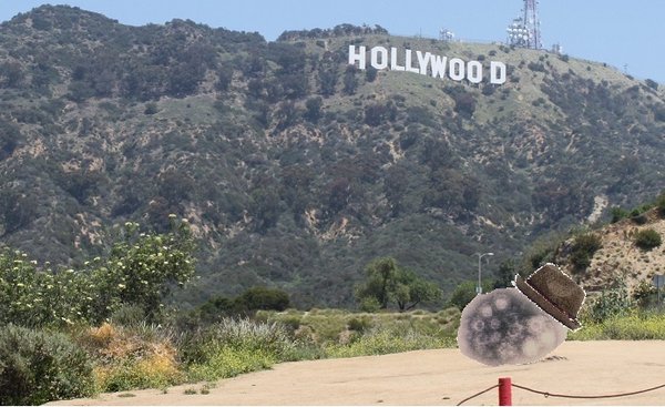 Enterovirus Goes to Hollywood.jpg