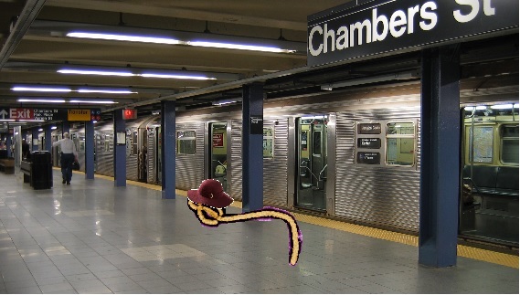 New York Subway and Ebola.jpg