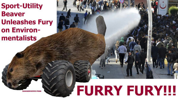 Furry Fury.jpg
