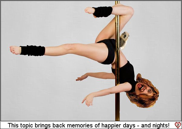pole_dancing 3.png