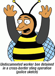 Undocumented_Worker_Bee.png