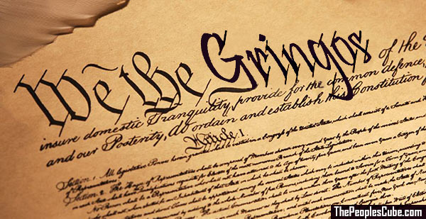 We_the_Gringos_Constitution.jpg