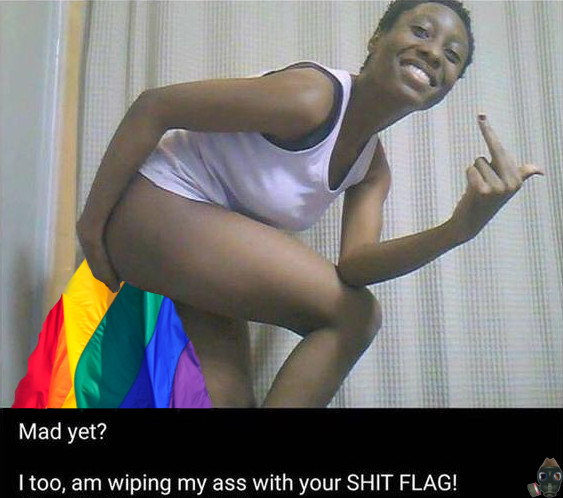 gay-flag-ass-wipe.jpg