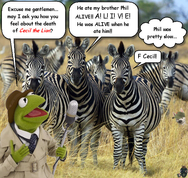 zebras-hate-cecil.jpg