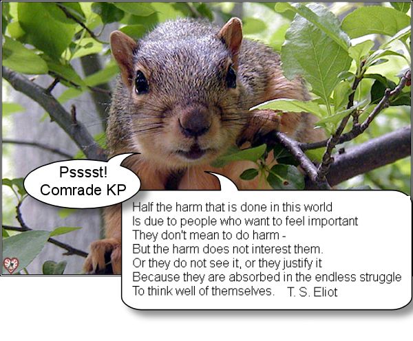 Squirrel Talk.jpg