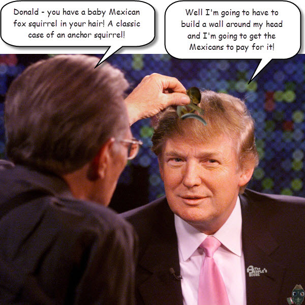larry-king-finds-an anchor-squirrel-in-trumps-hair.jpg