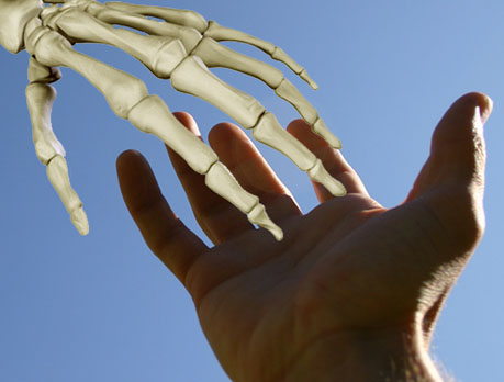 hand_skeleton.jpg