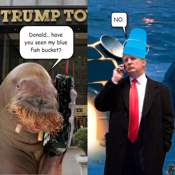 donald-have-you-seen-my-blue-bucket.jpg