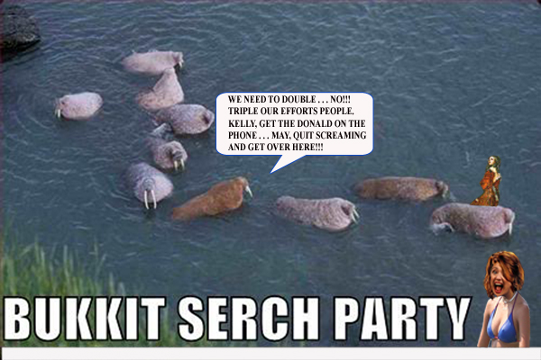 walrus bucket search .jpg