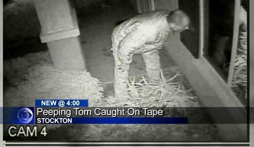 peeping-tom-on-tape1.jpg