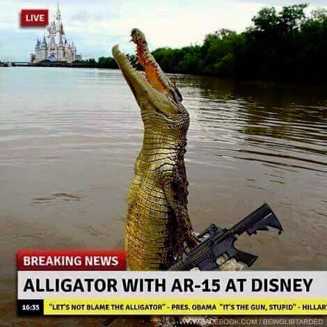 Alligator_AR15.jpg