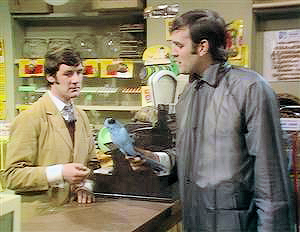 Monty-Python-dead-parrot.png