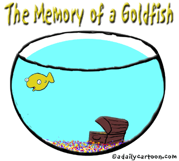 goldfish_Memory.gif