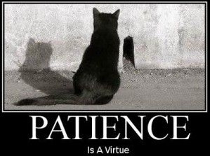 patience-is-a-virtue.jpg