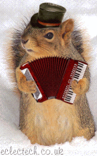 squirrel accordion.gif